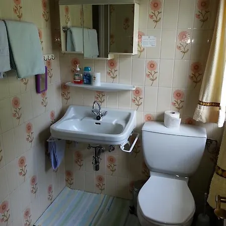 Haus Ellmaustein * Fuschl am See